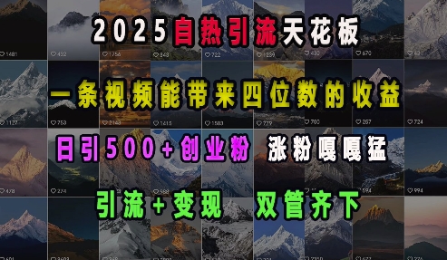 2025自热引流天花板，一条视频能带来四位数的收益，引流+变现双管齐下，日引500+创业粉，涨粉嘎嘎猛-三月轻创