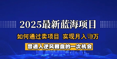 2025蓝海项目，普通人如何通过卖项目，实现月入过W，全过程【揭秘】-三月轻创