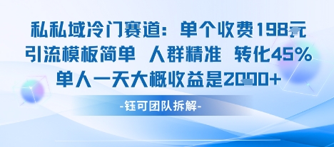 私域冷门赛道单个收费198米引流模板简单人群精准 45%的转化率单人一天大概收益多张-三月轻创