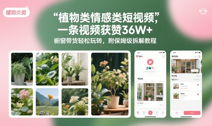 植物类情感类短视频，一条视频获赞36W+，橱窗带货轻松玩转，附保姆级拆解教程-三月轻创