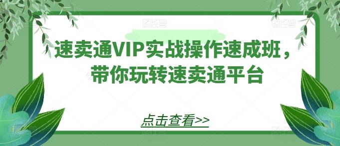 速卖通VIP实战操作速成班，带你玩转速卖通平台-三月轻创