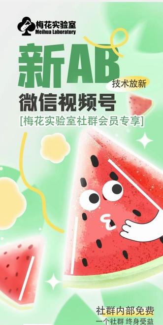 梅花实验室2024年AB技术视频号AB合成破解版-三月轻创