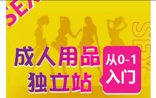 成人用品独立站从0-1入门，成品独立站运营全流程教学，七大好卖成品独立站推荐-三月轻创