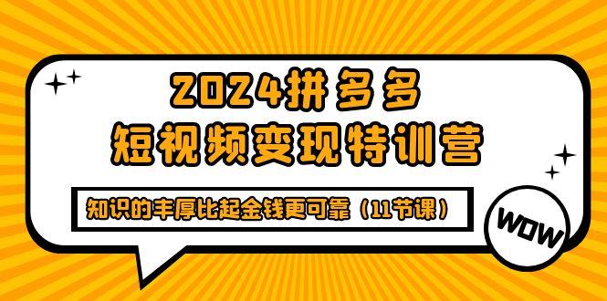 (9817期)2024拼多多短视频变现特训营，知识的丰厚比起金钱更可靠(11节课)-三月轻创