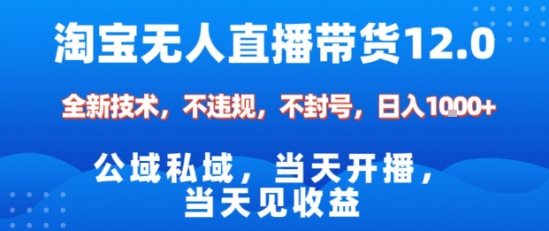 淘宝无人直播12.0，公域私域技术，不封号，不违规布局双十一流量风口，日入1k（独家技术）【揭秘】-三月轻创