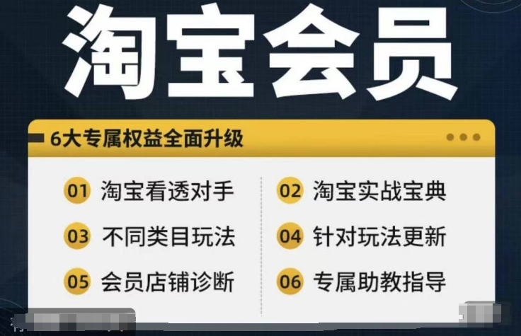 淘宝会员【淘宝所有课程，全面分析对手】，初级到高手全系实战宝典-三月轻创