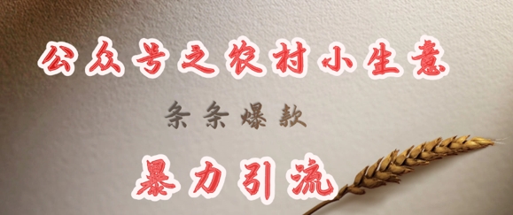 deepseek写农村小项目,条条爆款,暴力引流-三月轻创