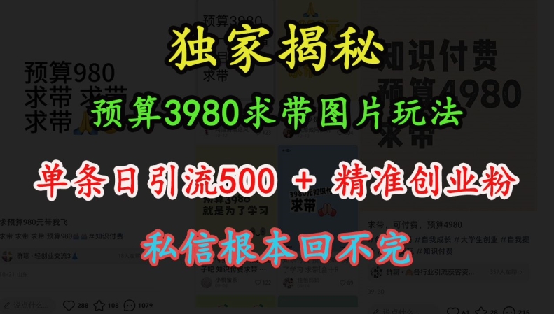 预算3980求带 图片玩法，单条日引流500+精准创业粉，私信根本回不完-三月轻创
