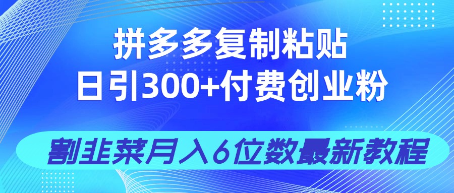 拼多多复制粘贴日引300+付费创业粉，割韭菜月入6位数最新教程！-三月轻创