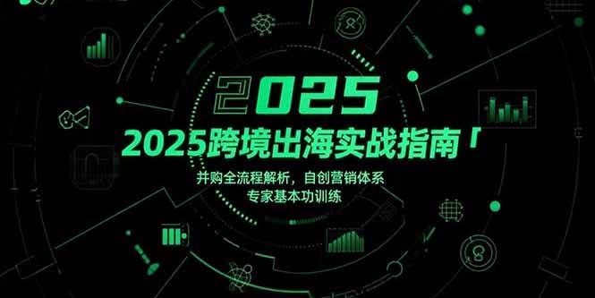 （15503期）2025跨境出海实战指南，并购全流程解析，自创营销体系，专家基本功训练-三月轻创