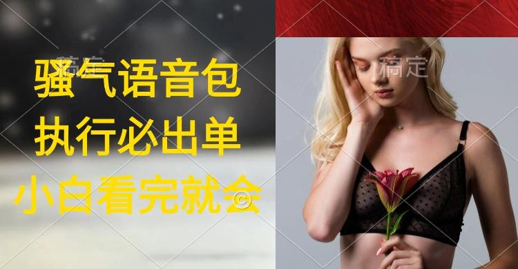 (9589期)执行就出单，日入2000+，超火骚气语音包，小白看完课程就能马上实操-三月轻创