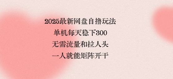 2025最新网盘自撸玩法，单机每天稳下3张，无需流量和拉人头，一个人就可轻松矩阵，全网独一份【揭秘】-三月轻创