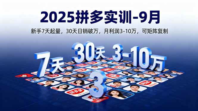 （16008期）2025拼多多实训-9月：新手7天起量,30天日销破万,月利润3-10万,可矩阵复制-三月轻创