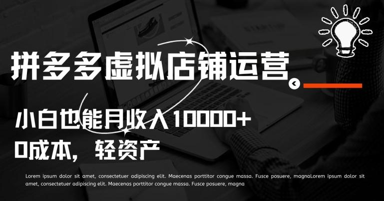 拼多多虚拟店铺运营小白也能月收入10000+【揭秘】-三月轻创
