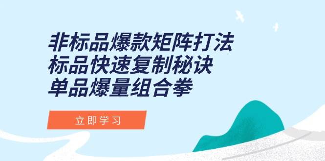 (15068期)非标品爆款矩阵打法,标品快速复制秘诀,单品爆量组合拳-三月轻创
