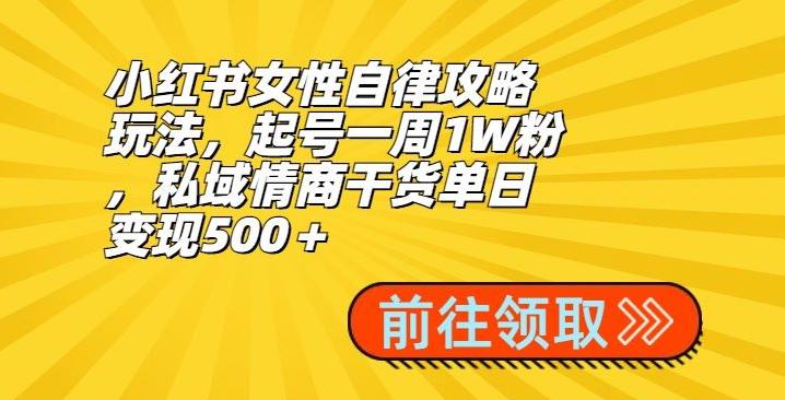 小红书女性自律攻略玩法，起号一周1W粉，私域情商干货单日变现500＋-三月轻创