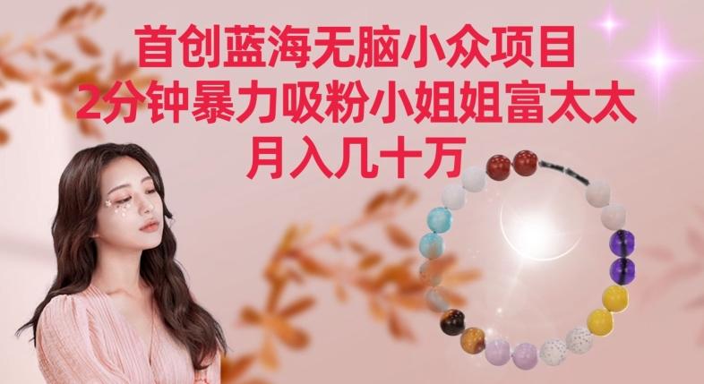 首创蓝海无脑小众项目，2分钟暴力吸粉小姐姐富太太，月入几十万【揭秘】-三月轻创