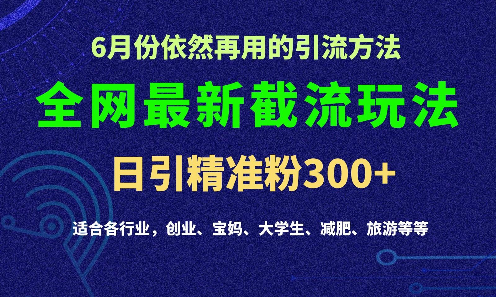 2024全网最新截留玩法，每日引流突破300+-三月轻创