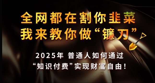 全网都在割你韭菜，我来教你做镰刀，2025年普通人如何通过 知识付费 实现财F自由【揭秘】-三月轻创