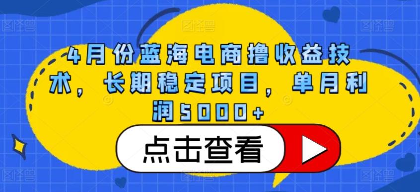 4月份蓝海电商撸收益技术，长期稳定项目，单月利润5000+【揭秘】-三月轻创