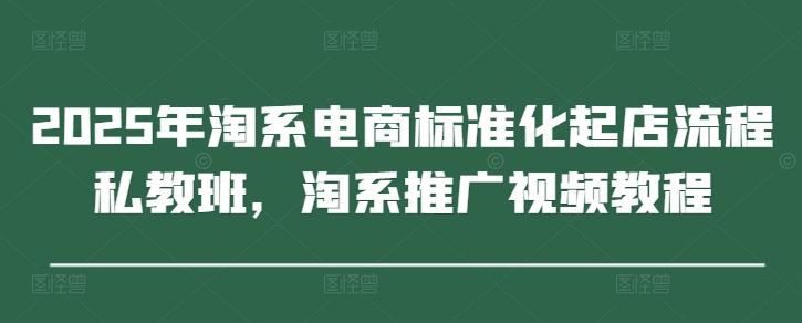2025年淘系电商标准化起店流程私教班，淘系推广视频教程-三月轻创
