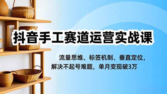 （16667期）抖音手工赛道运营实战课，流量思维、标签机制、垂直定位，解决不起号难题，单月变现破3万-三月轻创