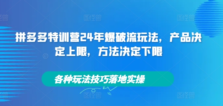 拼多多特训营24年爆破流玩法，产品决定上限，方法决定下限，各种玩法技巧落地实操-三月轻创