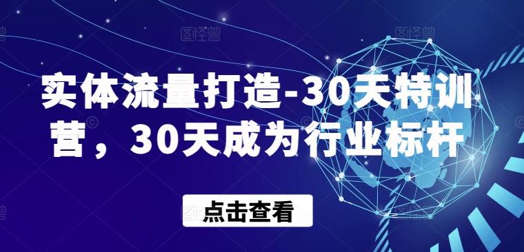 实体流量打造-30天特训营，30天成为行业标杆-三月轻创