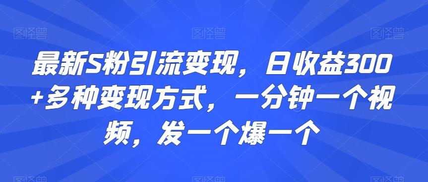 最新S粉引流变现，日收益300+多种变现方式，一分钟一个视频，发一个爆一个【揭秘】-三月轻创