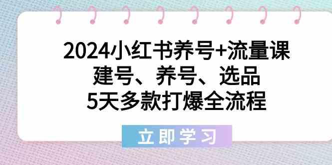 2024小红书养号+流量课：建号、养号、选品，5天多款打爆全流程-三月轻创