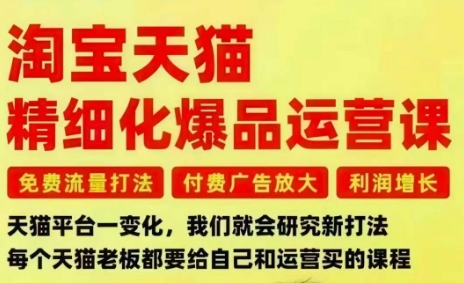淘宝天猫精细化爆品运营课，免费流量打法-付费广告放大-利润增长-三大核心痛点，一次全部解决-三月轻创