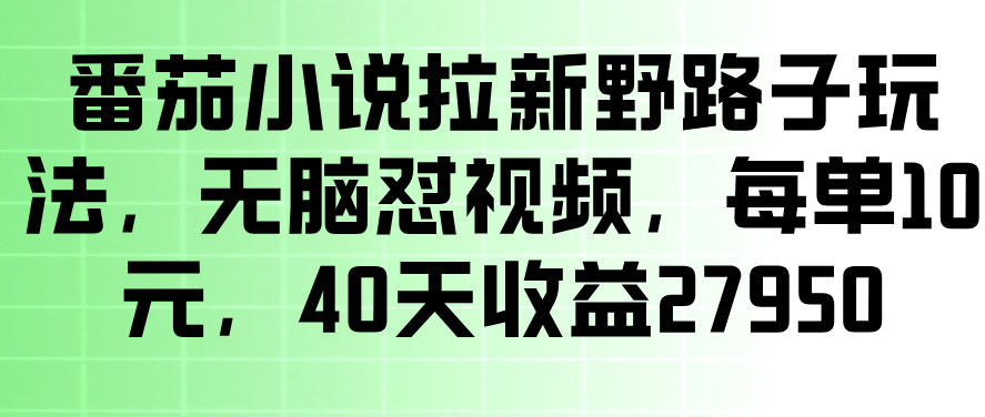 番茄小说拉新野路子玩法,无脑怼视频,玩法简单、见效快,每单10米,40天收益27950-三月轻创