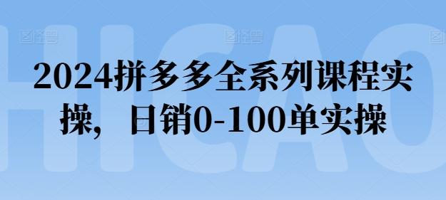 2024拼多多全系列课程实操，日销0-100单实操【必看】-三月轻创