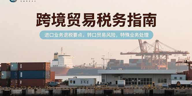 （15381期）跨境贸易税务指南，进口业务退税要点，转口贸易风险，特殊业务处理-三月轻创