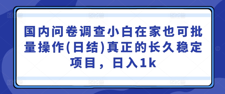 国内问卷调查小白在家也可批量操作(日结)真正的长久稳定项目，日入1k【揭秘】-三月轻创