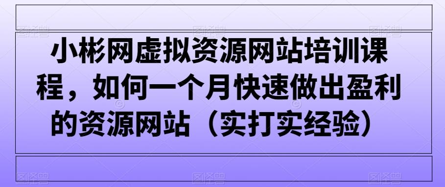 小彬网虚拟资源网站培训课程，如何一个月快速做出盈利的资源网站(实打实经验)-三月轻创
