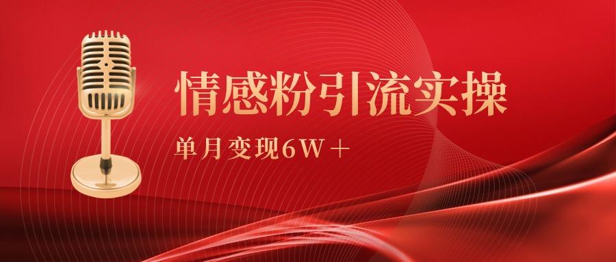 (9473期)单月变现6w+，情感粉引流变现实操课-三月轻创
