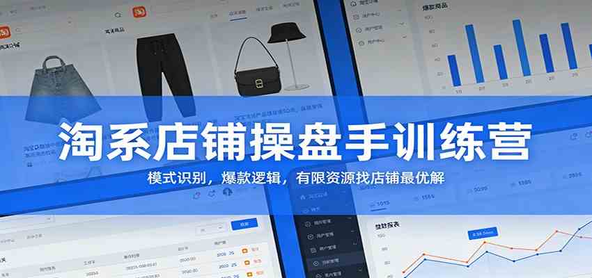 淘系店铺操盘手训练营：模式识别，爆款逻辑，有限资源找店铺最优解-三月轻创
