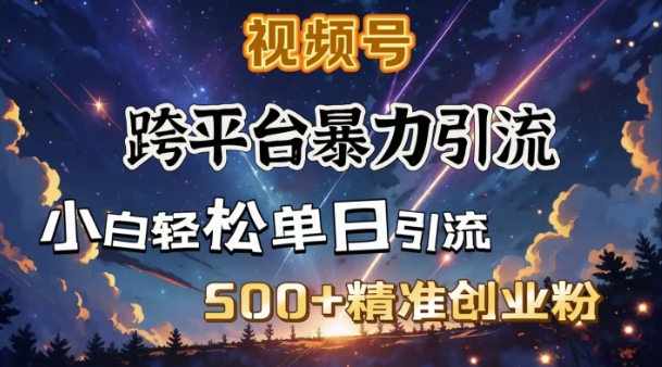 跨平台暴力引流，私域完美闭环，日引500+精准创业粉-三月轻创
