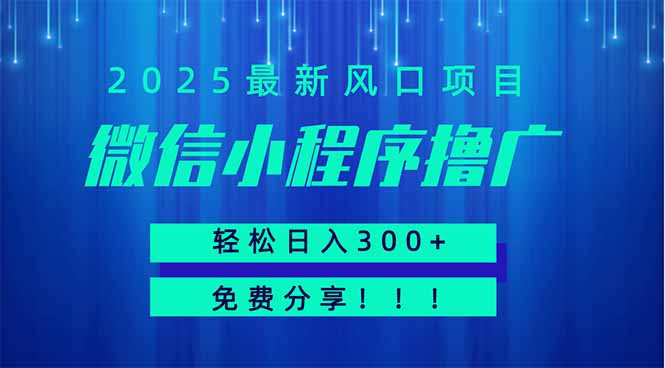 微信小程序撸广，最新风口项目，日入300+ 免费分享 可批量操作 小白可...-三月轻创