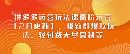 拼多多运营玩法课高阶运营【2月更新】，极致群爆款玩法，轻付费无尽复制等-三月轻创