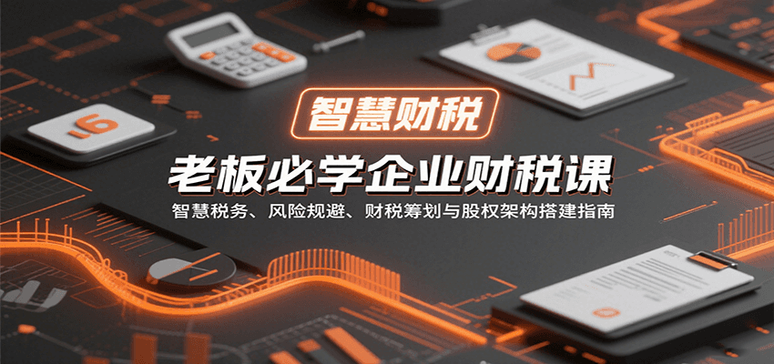 老板必学企业财税课：智慧税务、风险规避、财税筹划与股权架构搭建指南-三月轻创