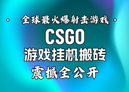 【年底大揭秘】基于全球最火爆的射击CSGO游戏挂G搬砖，日入5张+，震撼公开-三月轻创