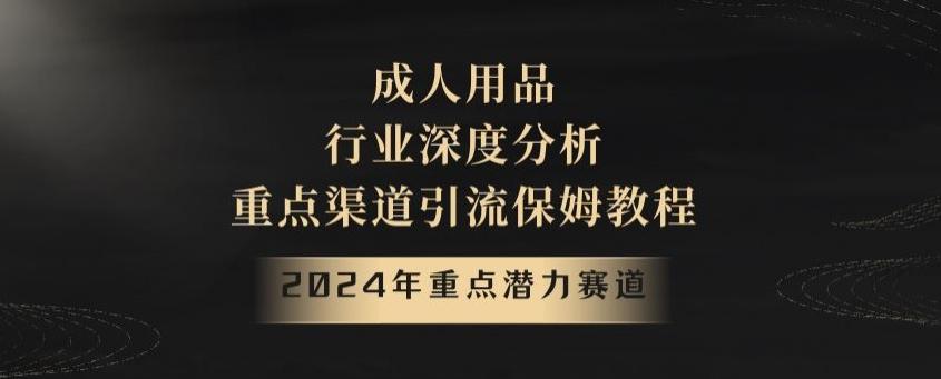 2024年重点潜力赛道，成人用品行业深度分析，重点渠道引流保姆教程【揭秘】-三月轻创