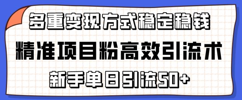 精准项目粉高效引流术，新手单日引流50+，多重变现方式稳定赚钱【揭秘】-三月轻创
