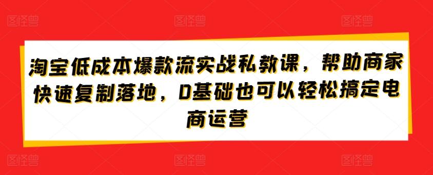 淘宝低成本爆款流实战私教课，帮助商家快速复制落地，0基础也可以轻松搞定电商运营-三月轻创