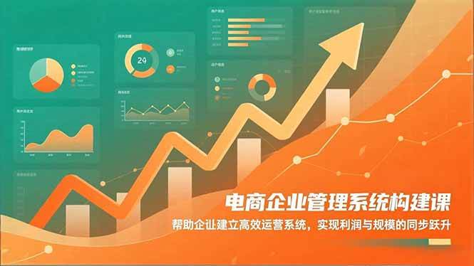 （16643期）电商企业管理系统构建课：帮助企业建立高效运营系统，实现利润与规模的同步跃升-三月轻创
