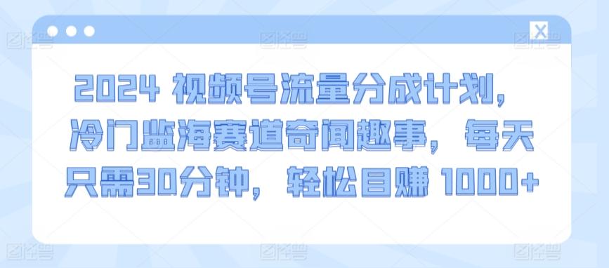 2024视频号流量分成计划，冷门监海赛道奇闻趣事，每天只需30分钟，轻松目赚 1000+【揭秘】-三月轻创