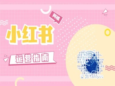 小红书运营指南，没有套路，全是经验-三月轻创