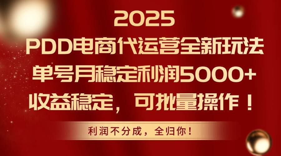 （14839期）2025PDD电商代运营全新玩法，单号月稳定利润5000+，收益稳定，可批量操作-三月轻创